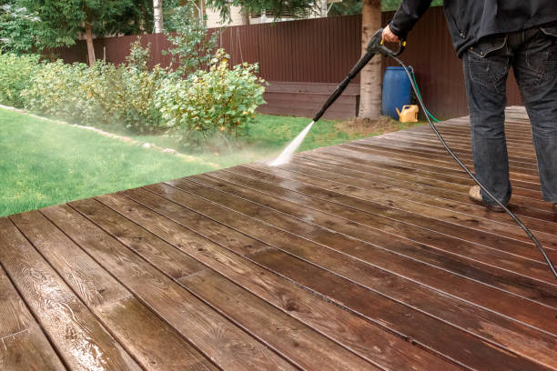 Best Animal Enclosure Cleaning  in King Arthur Park, MT